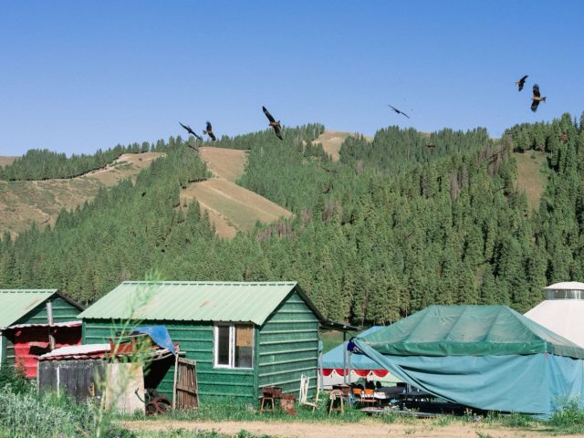 Cabane en bois ou yourte : quelle option choisir