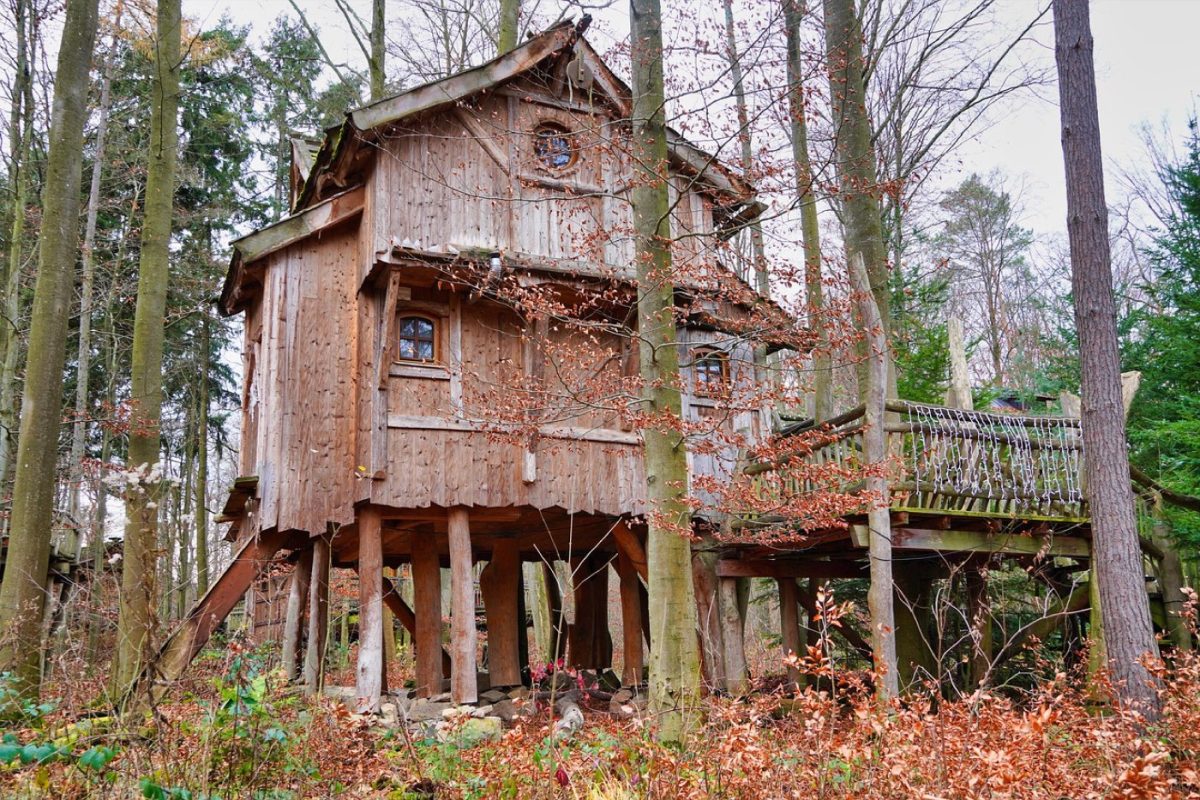 Cabane perchée ou tiny house : nuit insolite près de Paris