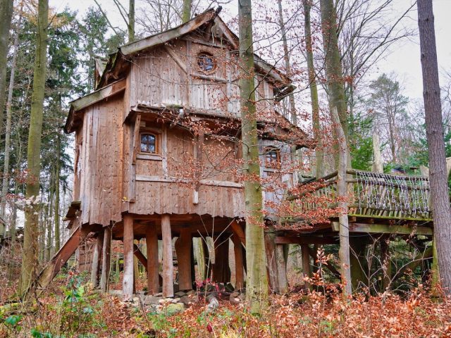 Cabane perchée ou tiny house : nuit insolite près de Paris