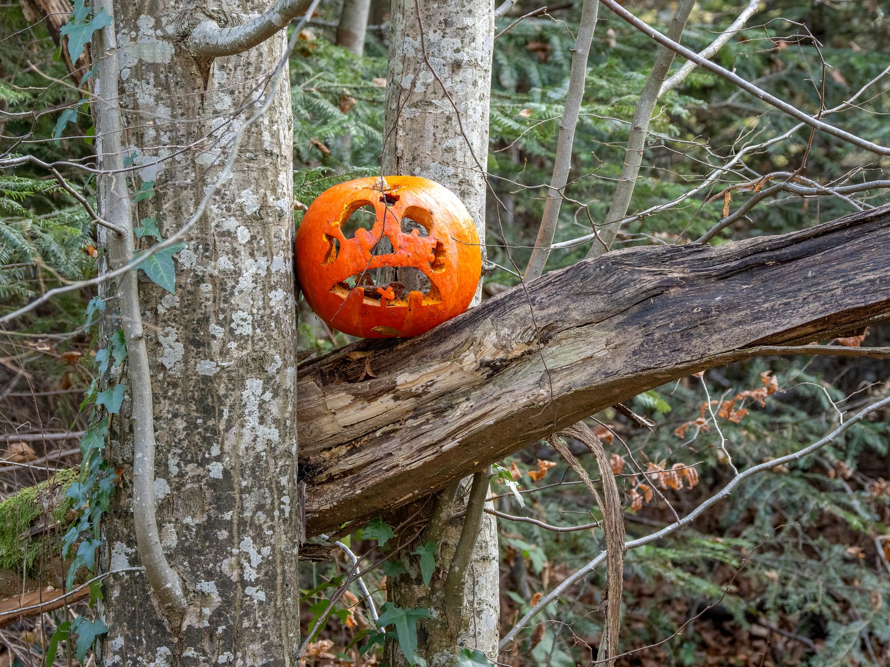 Halloween 2026 : Vivez des expériences uniques en Île-de-France