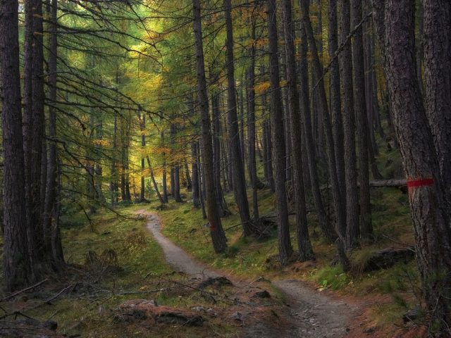 Top escapades nature à moins d’une heure de Paris