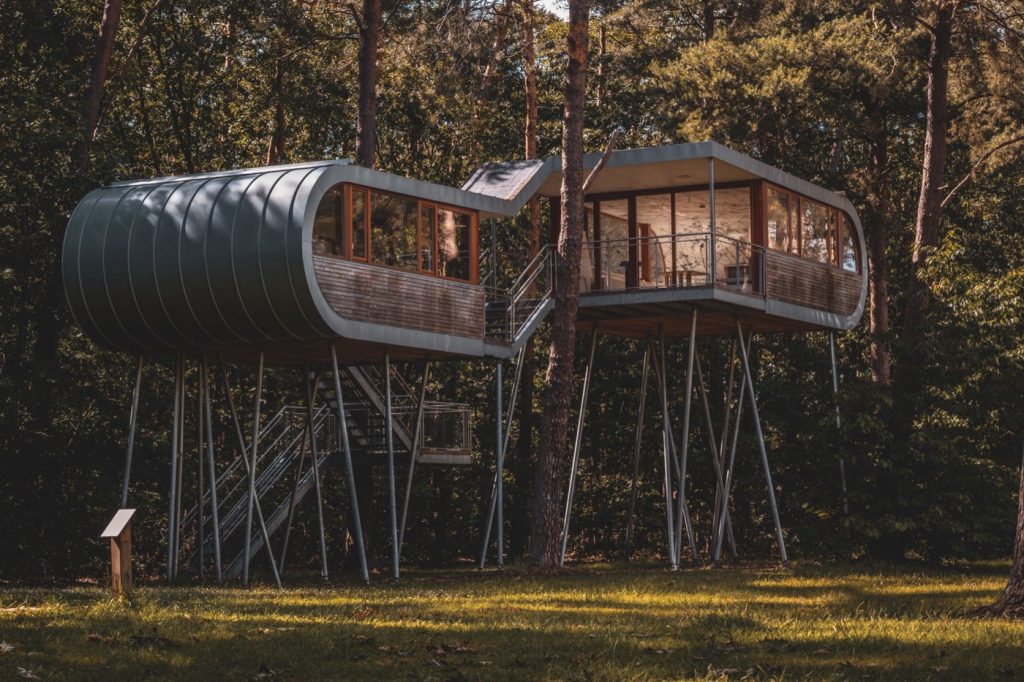 Cabanes dans les arbres vs bulles transparentes : comparatif