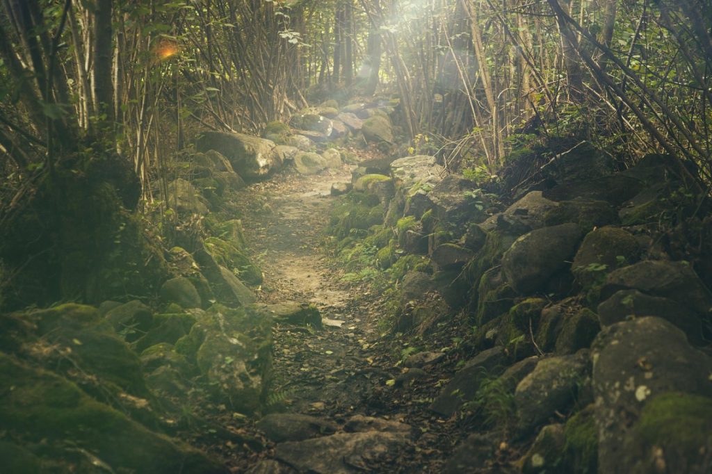 Activités nature à faire lors d&rsquo;un week-end